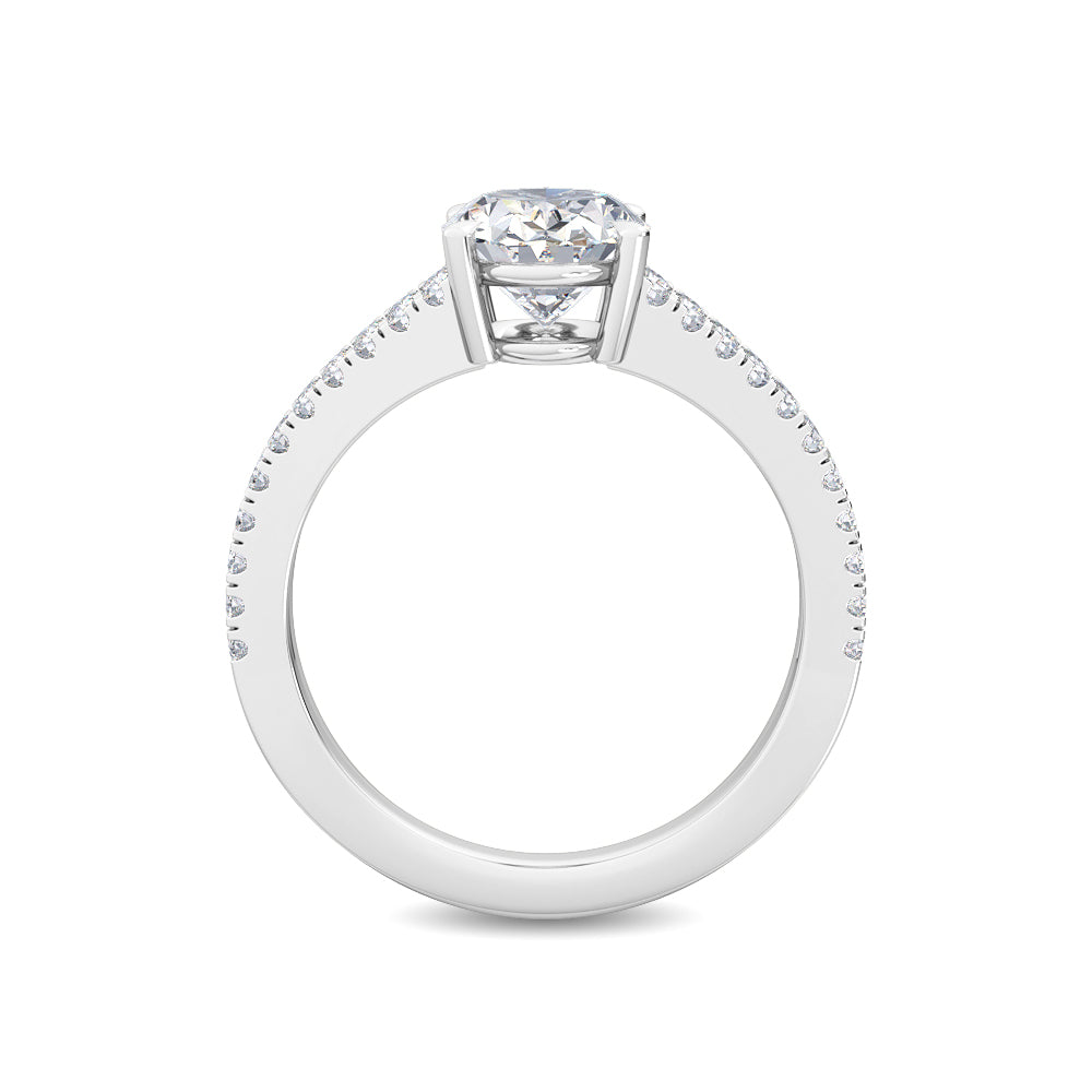 The Classic Split Oval